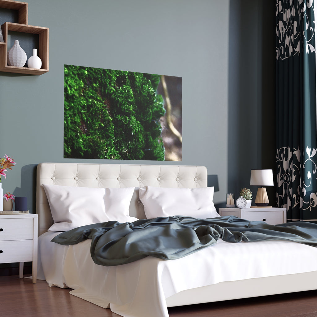 Moss close-up nature photography silk poster — Nature Noticed