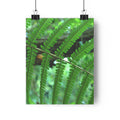 Green fern botanical photography museum-grade paper poster