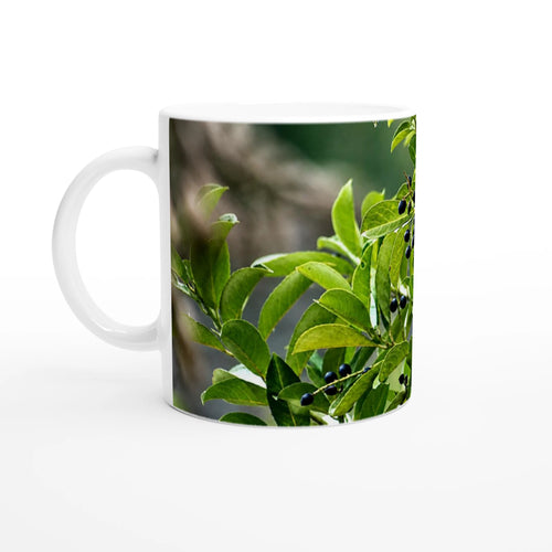 Cherry Laurel Berries nature photography mug — Nature Noticed product mockup