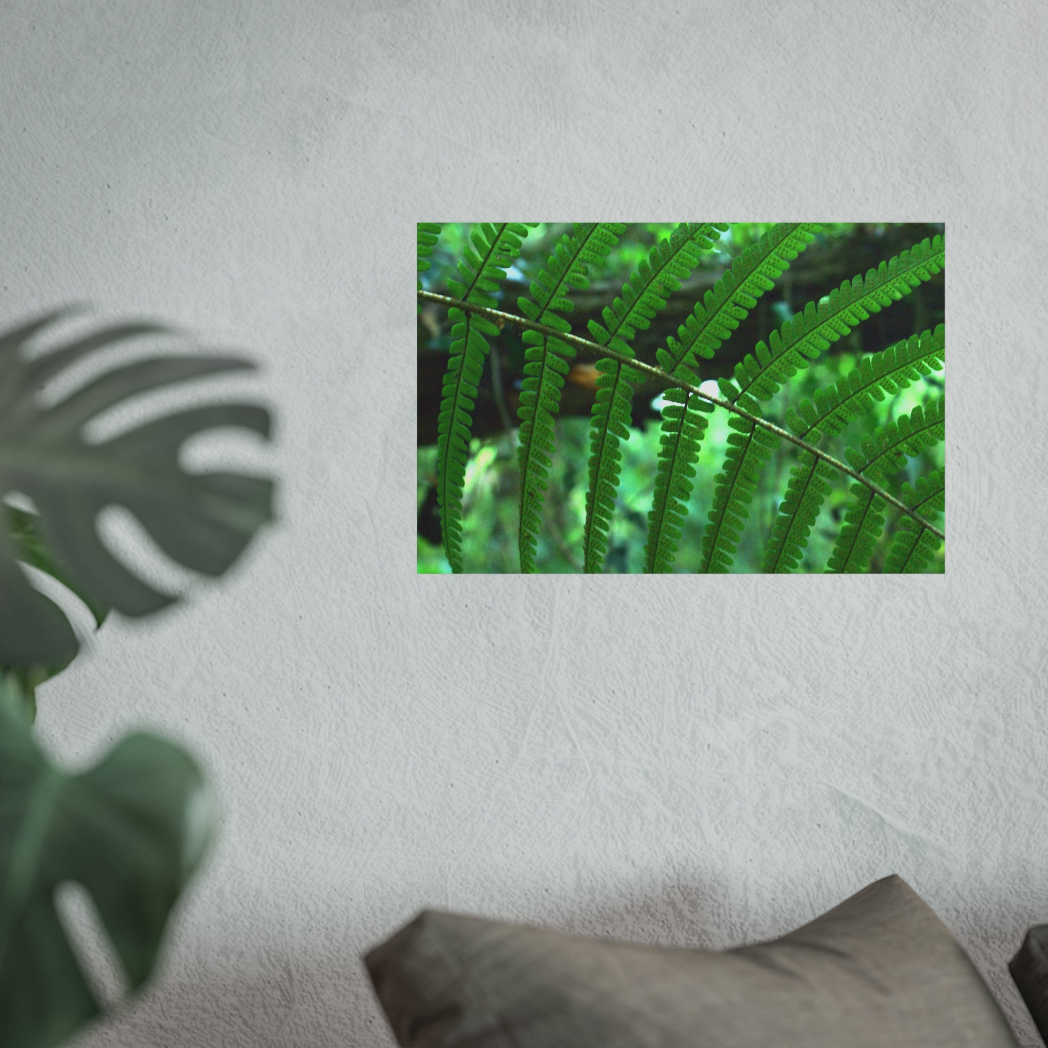 Green Fern Fine Art Poster — Original Botanical Photography