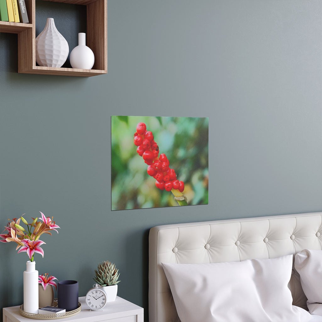 Red berry botanical nature photography silk poster — Nature Noticed