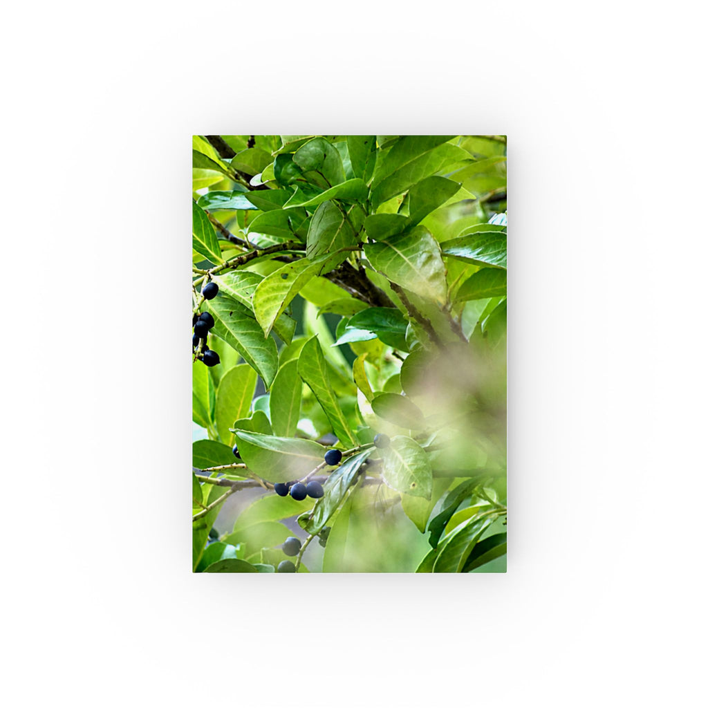 Nature Study hardback journal featuring original nature photography
