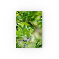 Nature Study hardback journal featuring original nature photography