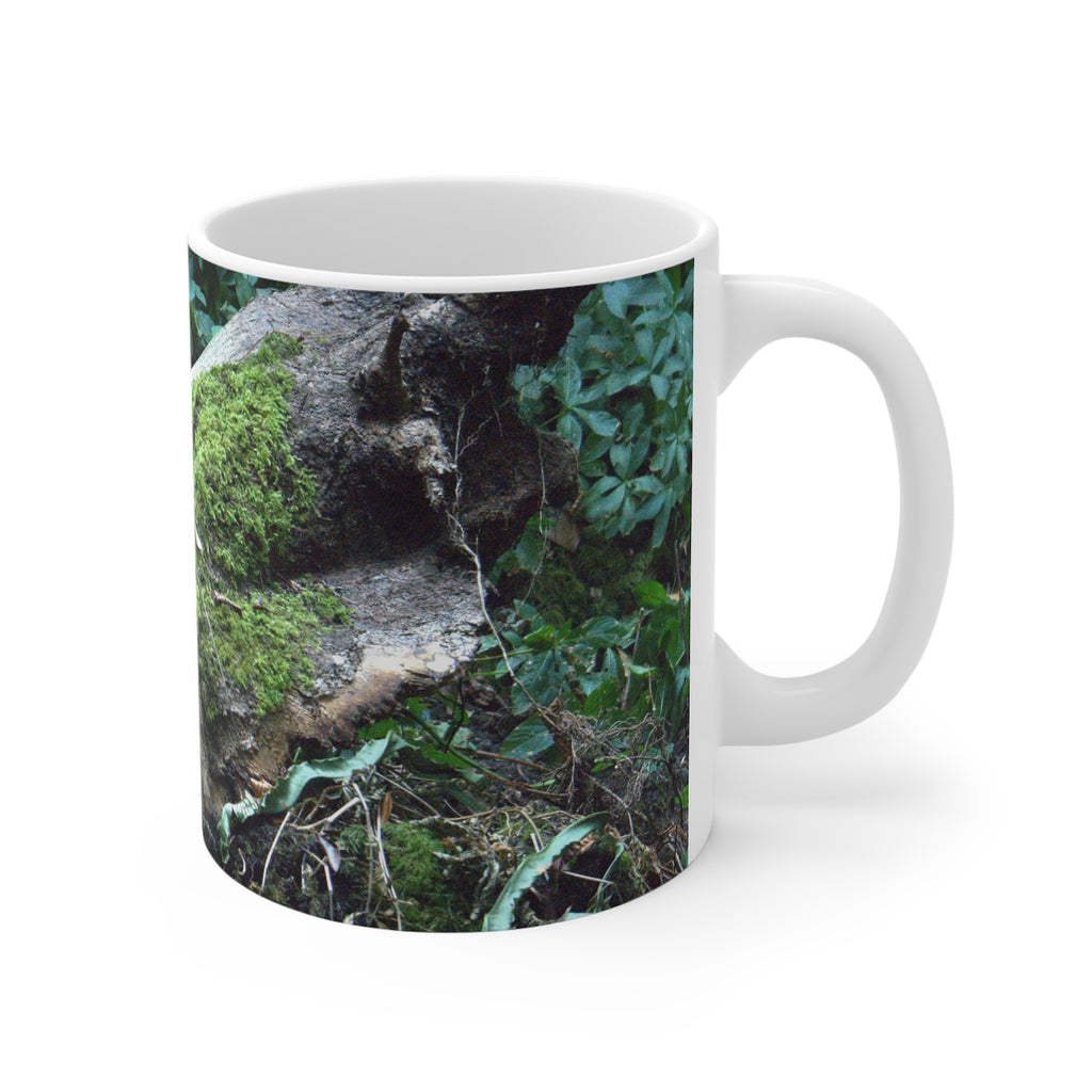 Moss-covered woodland tree photograph printed on an 11 oz white ceramic mug