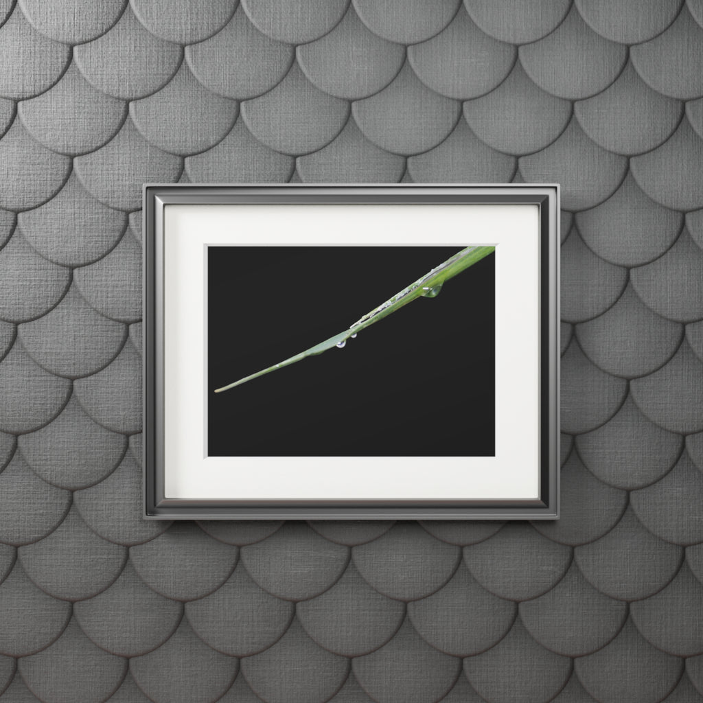 Woodland Detail Passepartout Fine Art Print — Original Nature Photography