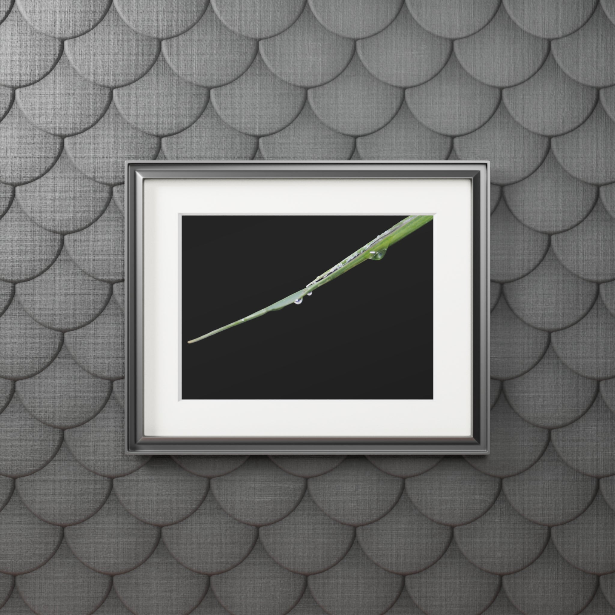 Woodland Detail Passepartout Fine Art Print — Original Nature Photography