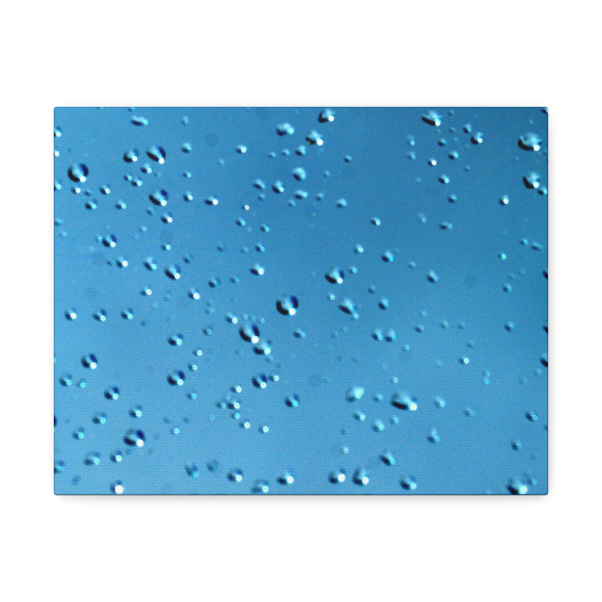 Blue Raindrops Stretched Canvas — Original Nature Photography