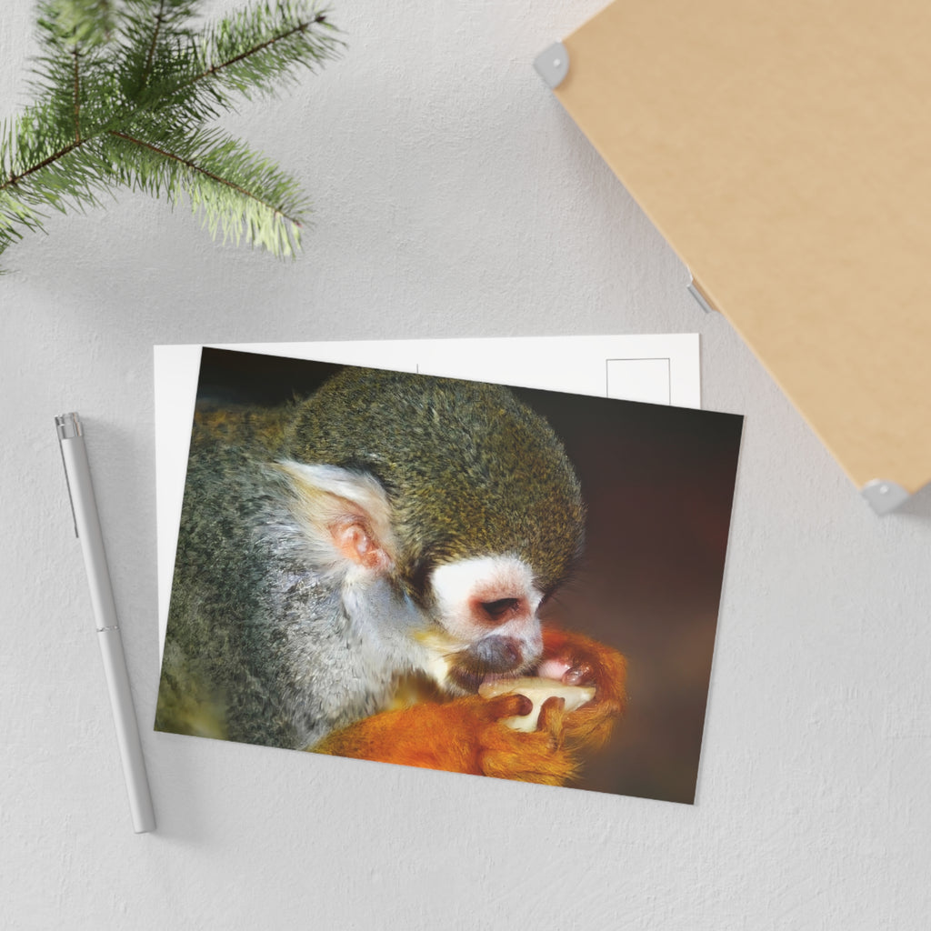 Squirrel Monkey Close-Up Fine Art Post Card