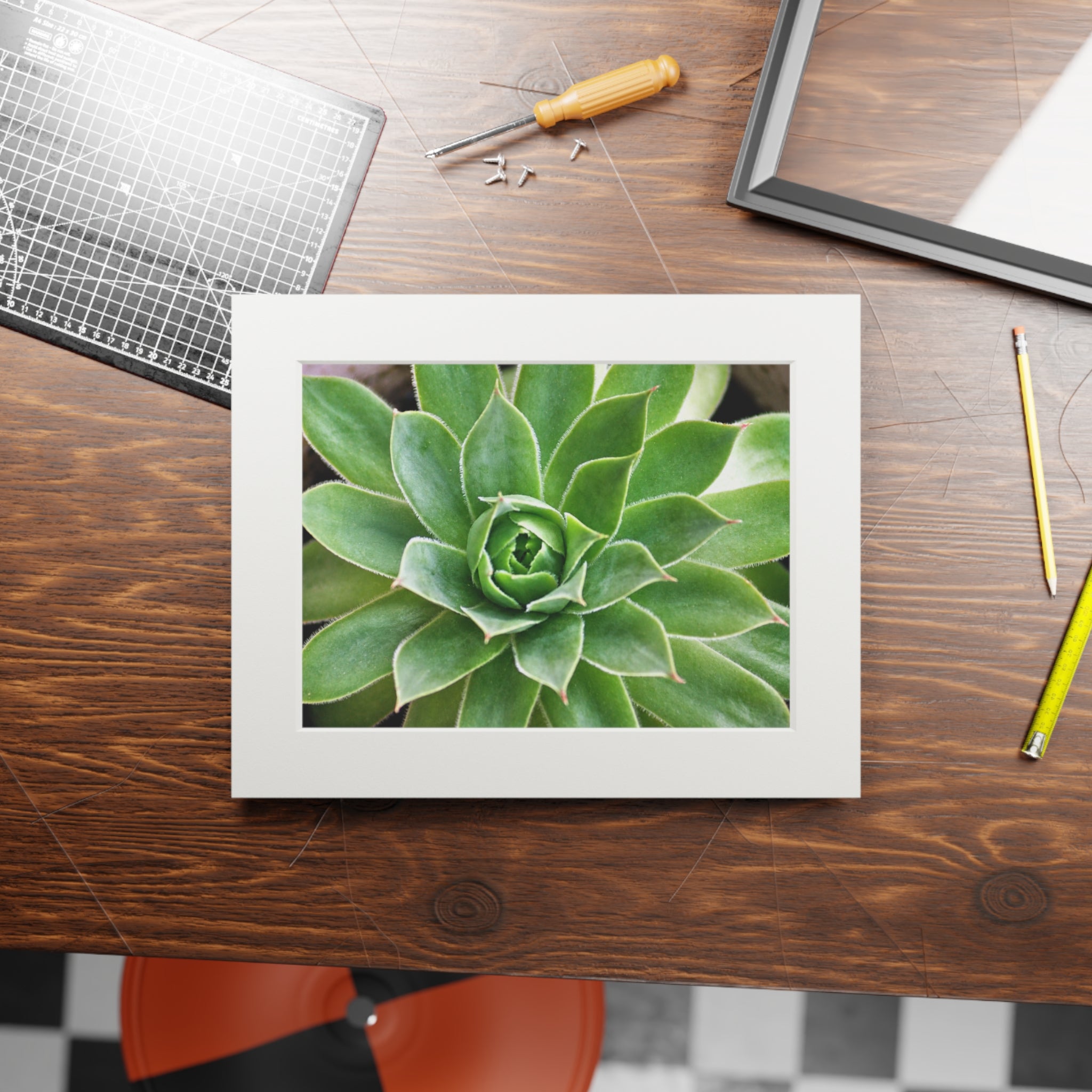 Succulent Passepartout Fine Art Print — Original Botanical Photography
