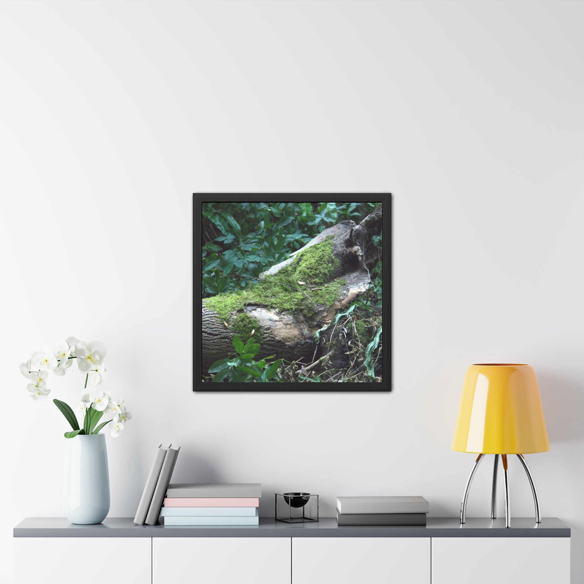Mossy Woodland Framed Poster — Original Forest Photography