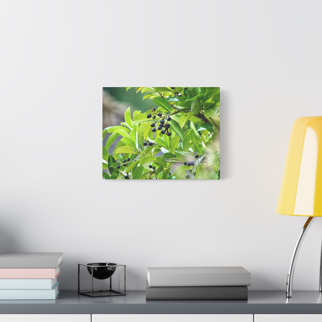 Nature Study Satin Stretched Canvas — Original Nature Photography