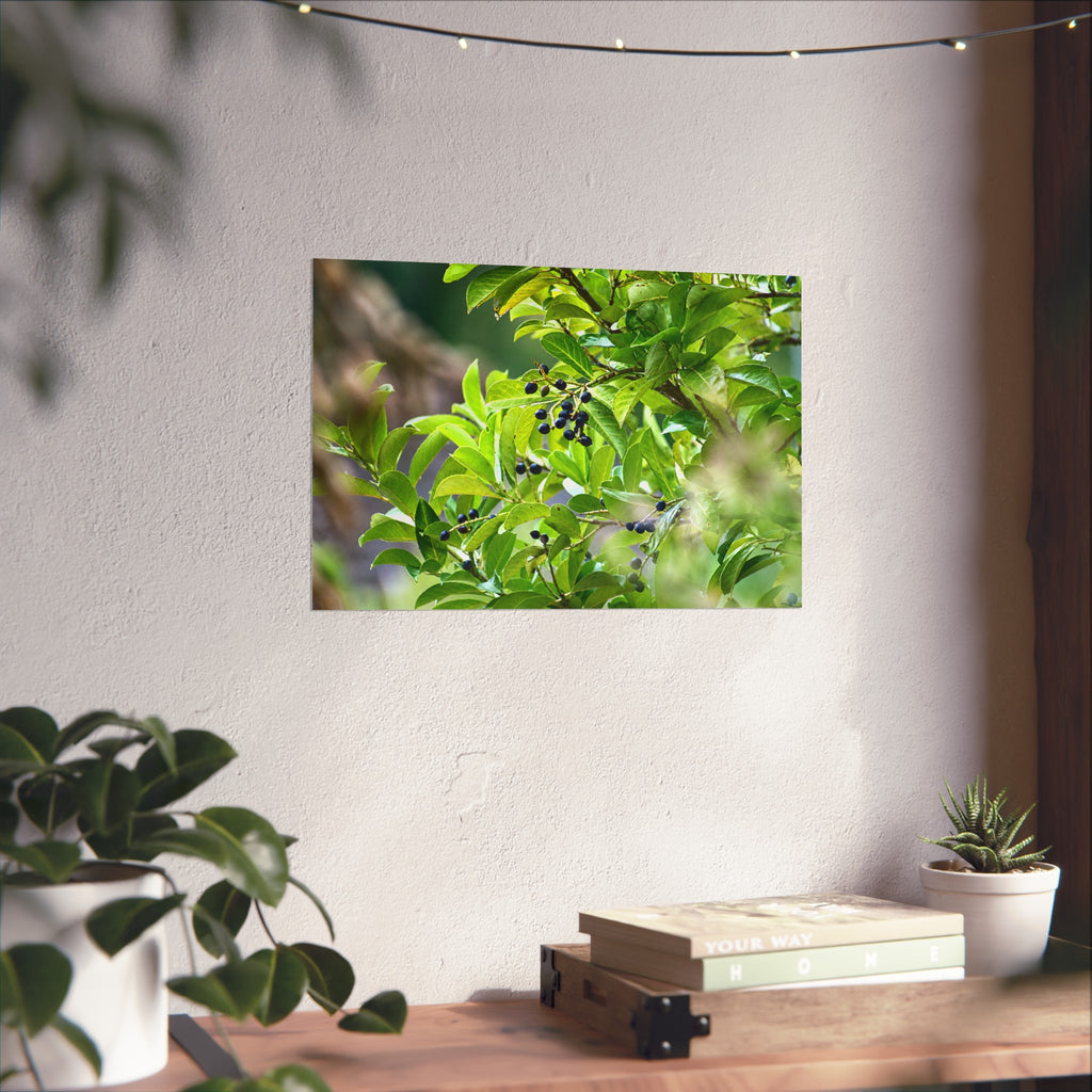 Nature Study Fine Art Poster — Original Botanical Photography