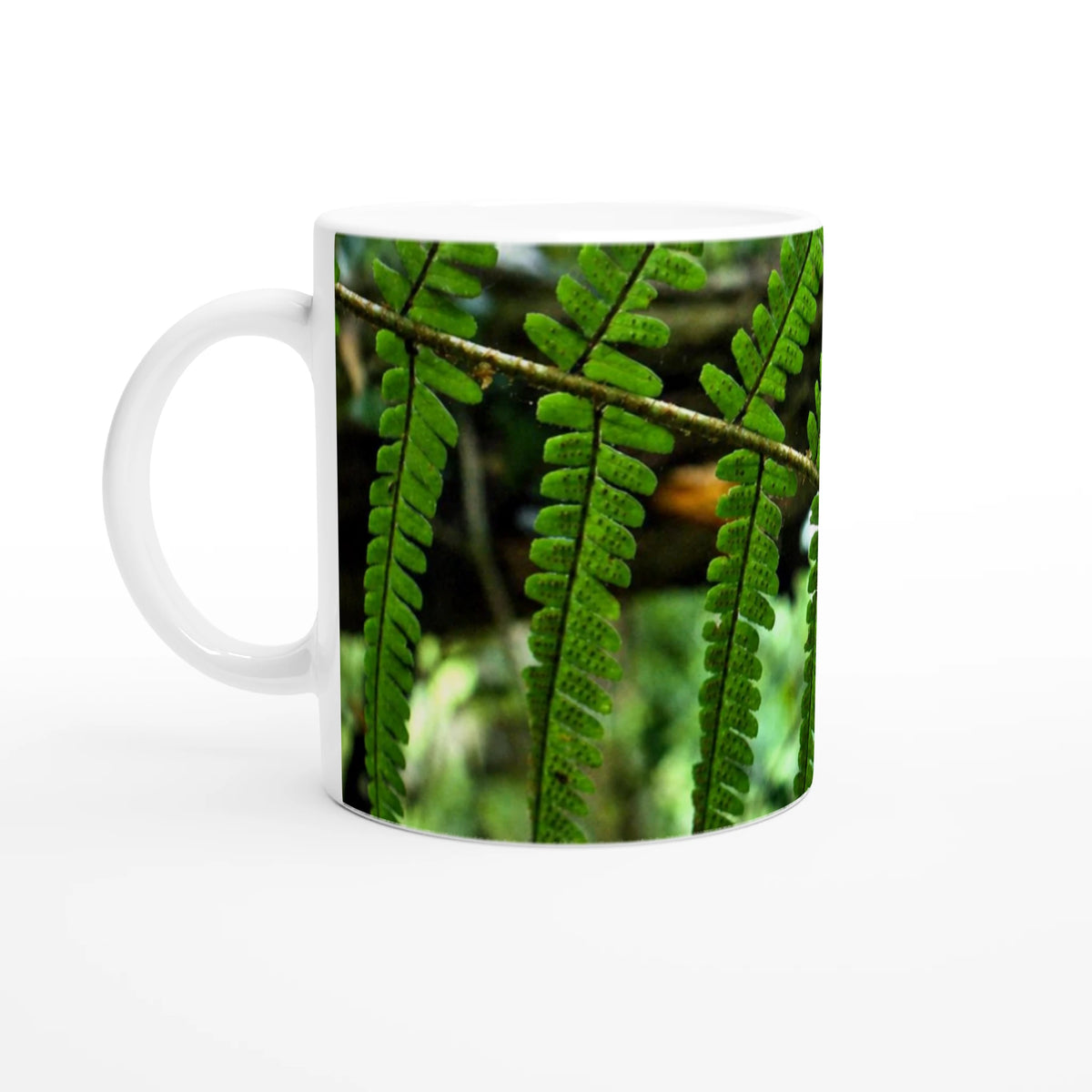 Fern nature photography mug — Nature Noticed product mockup